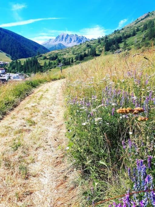 T2/3 6Pers & Pied Des Pistes & Piscine Chauffee Διαμέρισμα Vars  Εξωτερικό φωτογραφία